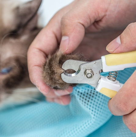 Pet Soft Cat Grooming Bag