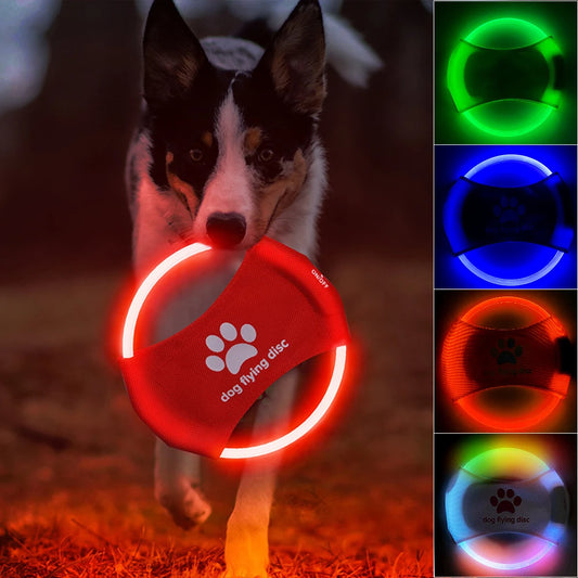 Glowing LED Luminous Dog Flying Discs